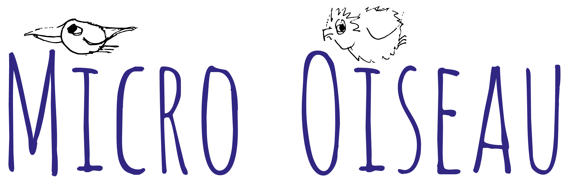 Micro Oiseau Micro Oiseau - marketing help for the micro entrepreneur and business start-up