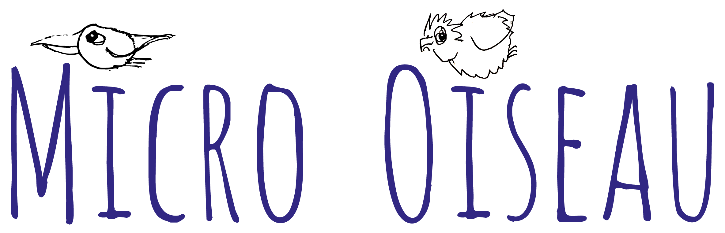 title2 Micro Oiseau - Guides marketing gratuits