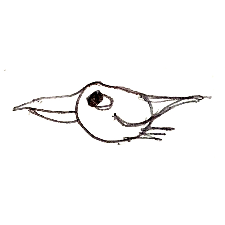 Micro Oiseau