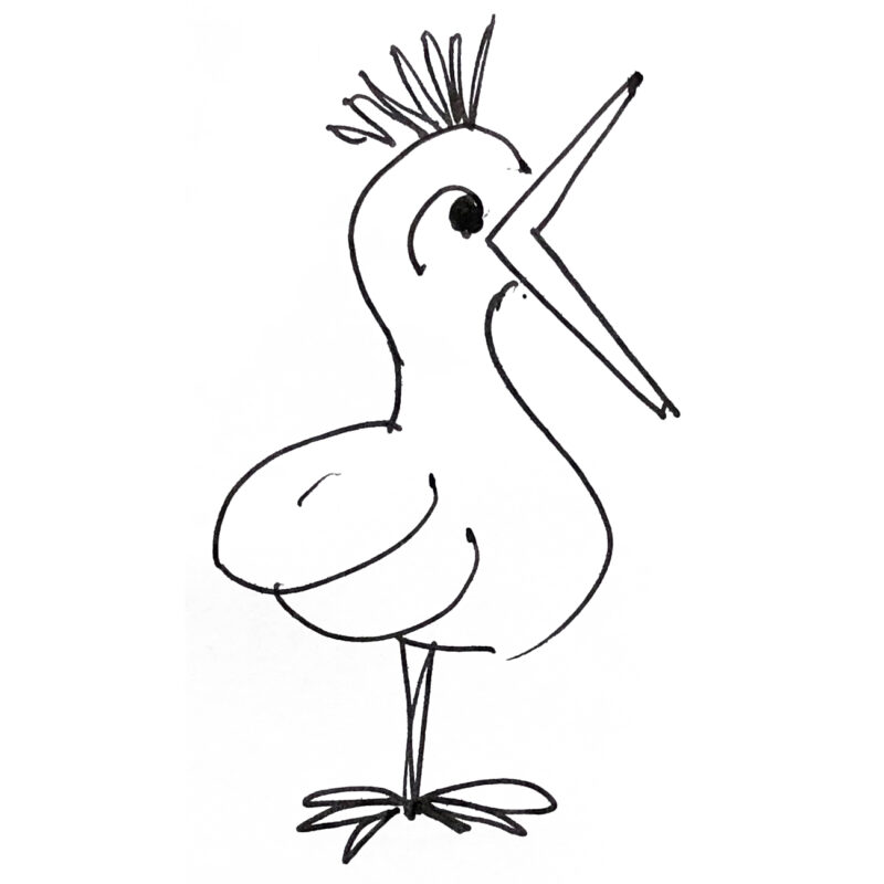 Micro Oiseau bird | obter resultados das mídias sociais