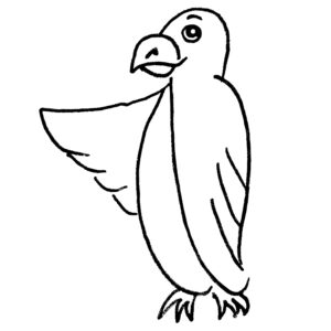 Guias de Tradução | Micro Oiseau | Grey Drane autor e tradutor