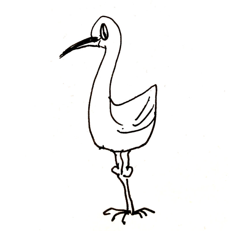 Micro Oiseau | free marketing guides