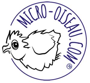 Micro Oiseau | Free Marketing Guides | startups and small business enterprise